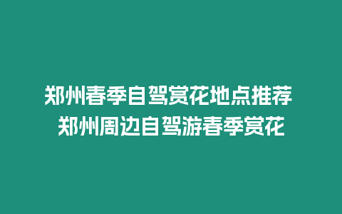 鄭州春季自駕賞花地點(diǎn)推薦 鄭州周邊自駕游春季賞花