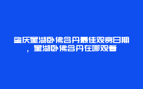 肇慶星湖臥佛含丹最佳觀賞日期，星湖臥佛含丹在哪觀看