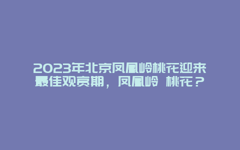 2024年北京鳳凰嶺桃花迎來最佳觀賞期，鳳凰嶺 桃花？