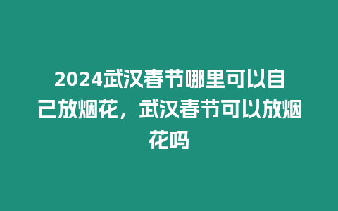 2024武漢春節(jié)哪里可以自己放煙花，武漢春節(jié)可以放煙花嗎