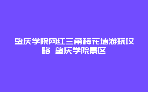 肇慶學院網紅三角梅花墻游玩攻略 肇慶學院景區