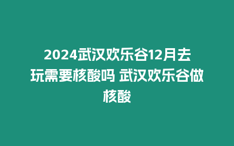 2024武漢歡樂(lè)谷12月去玩需要核酸嗎 武漢歡樂(lè)谷做核酸