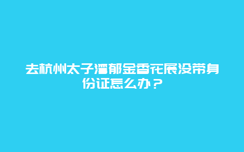 去杭州太子灣郁金香花展沒帶身份證怎么辦？