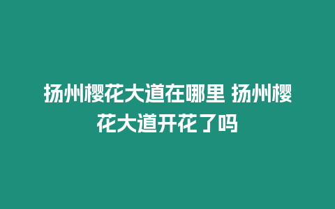 揚州櫻花大道在哪里 揚州櫻花大道開花了嗎