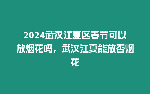 2024武漢江夏區春節可以放煙花嗎，武漢江夏能放否煙花