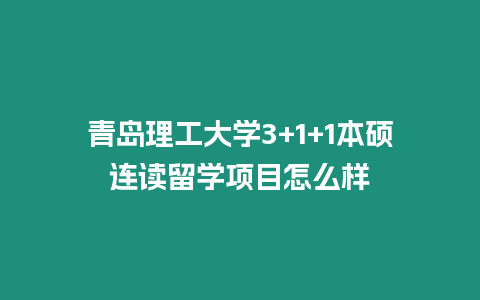 青島理工大學3+1+1本碩連讀留學項目怎么樣