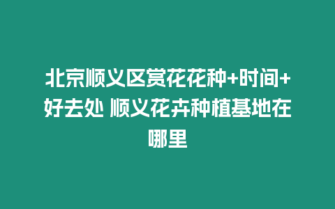 北京順義區賞花花種+時間+好去處 順義花卉種植基地在哪里