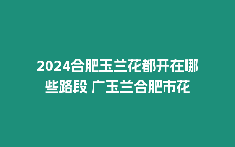 2024合肥玉蘭花都開在哪些路段 廣玉蘭合肥市花