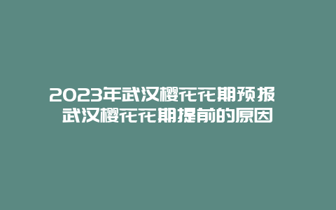 2024年武漢櫻花花期預報 武漢櫻花花期提前的原因