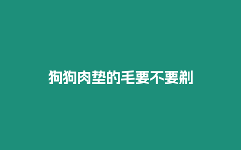 狗狗肉墊的毛要不要剃