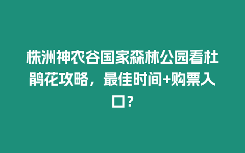 株洲神農谷國家森林公園看杜鵑花攻略，最佳時間+購票入口？