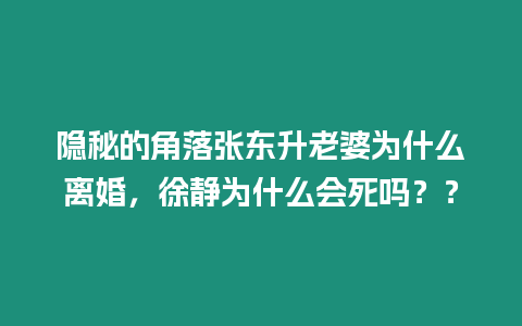 隱秘的角落張東升老婆為什么離婚，徐靜為什么會(huì)死嗎？？