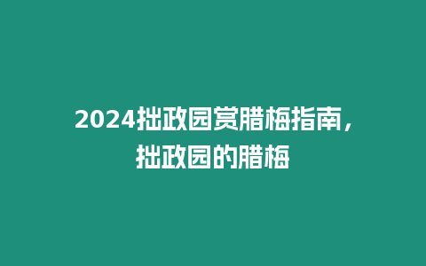 2024拙政園賞臘梅指南，拙政園的臘梅