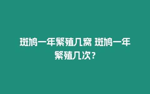 斑鳩一年繁殖幾窩 斑鳩一年繁殖幾次？