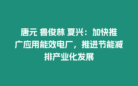 唐元 魯俊林 夏興：加快推廣應用能效電廠，推進節能減排產業化發展