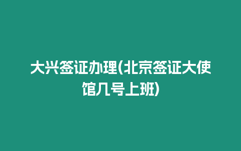 大興簽證辦理(北京簽證大使館幾號(hào)上班)