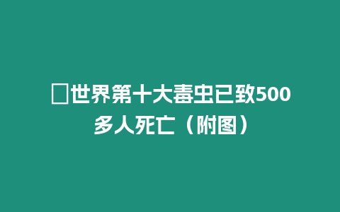 ?世界第十大毒蟲已致500多人死亡（附圖）