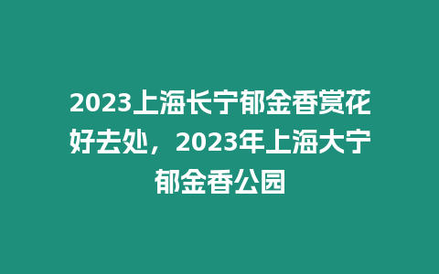 2023上海長寧郁金香賞花好去處，2023年上海大寧郁金香公園