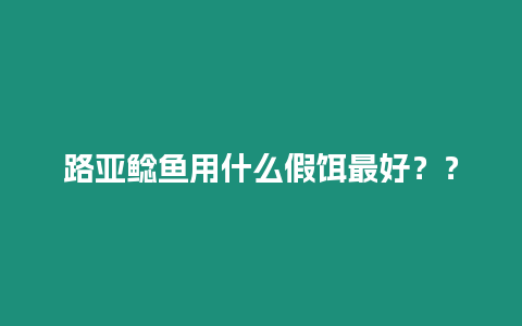 路亞鯰魚用什么假餌最好？？