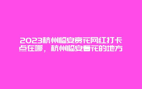 2024杭州臨安賞花網紅打卡點在哪，杭州臨安看花的地方