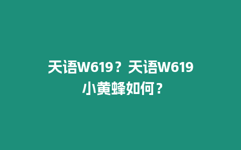 天語W619？天語W619 小黃蜂如何？