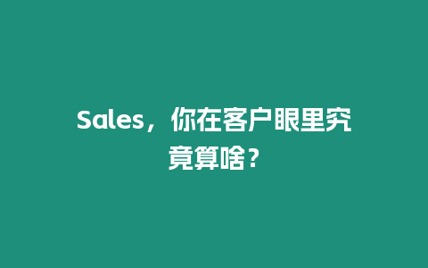 Sales，你在客戶眼里究竟算啥？