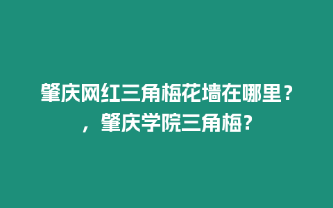 肇慶網(wǎng)紅三角梅花墻在哪里？，肇慶學(xué)院三角梅？