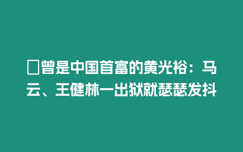 ?曾是中國首富的黃光裕：馬云、王健林一出獄就瑟瑟發抖