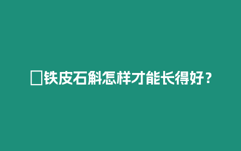 ?鐵皮石斛怎樣才能長得好？