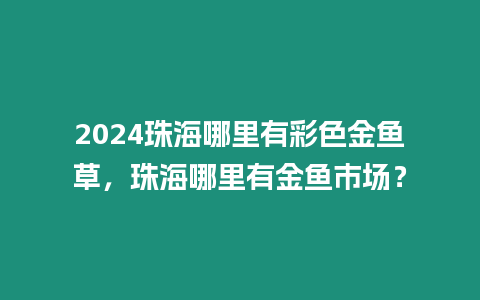 2024珠海哪里有彩色金魚草，珠海哪里有金魚市場？