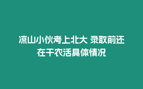 涼山小伙考上北大 錄取前還在干農活具體情況