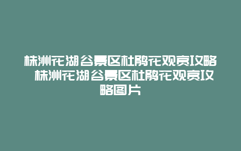 株洲花湖谷景區杜鵑花觀賞攻略 株洲花湖谷景區杜鵑花觀賞攻略圖片