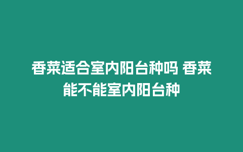 香菜適合室內陽臺種嗎 香菜能不能室內陽臺種