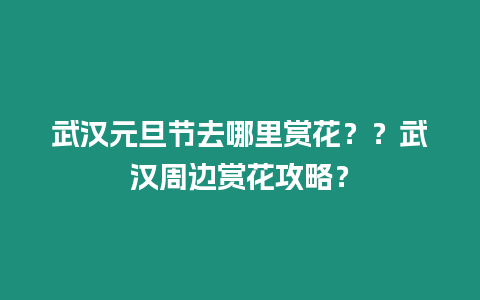 武漢元旦節去哪里賞花？？武漢周邊賞花攻略？