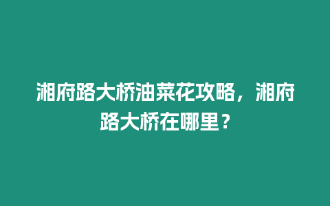 湘府路大橋油菜花攻略，湘府路大橋在哪里？