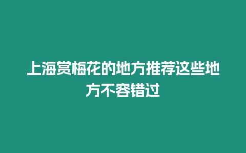 上海賞梅花的地方推薦這些地方不容錯過