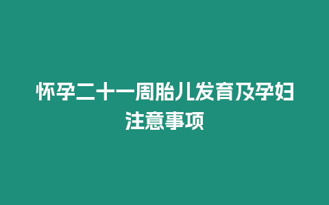 懷孕二十一周胎兒發育及孕婦注意事項