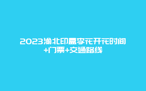 2024渝北印盒李花開花時間+門票+交通路線