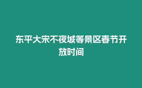 東平大宋不夜城等景區春節開放時間