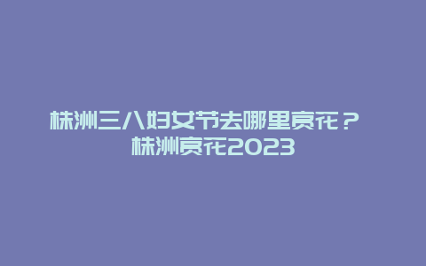 株洲三八婦女節去哪里賞花？ 株洲賞花2024