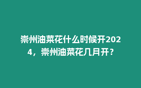 崇州油菜花什么時候開2024，崇州油菜花幾月開？