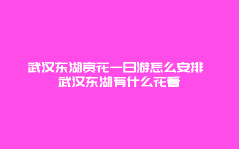 武漢東湖賞花一日游怎么安排 武漢東湖有什么花看