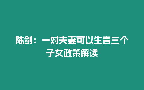 陳劍：一對夫妻可以生育三個子女政策解讀