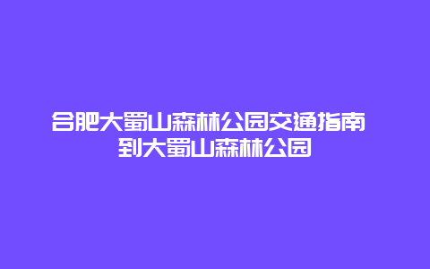 合肥大蜀山森林公園交通指南 到大蜀山森林公園