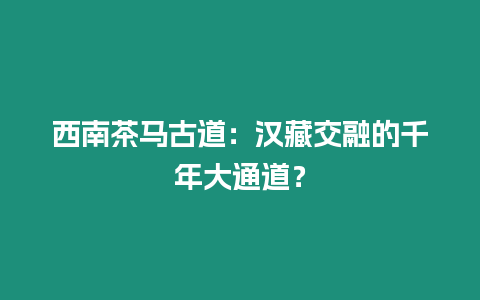 西南茶馬古道：漢藏交融的千年大通道？