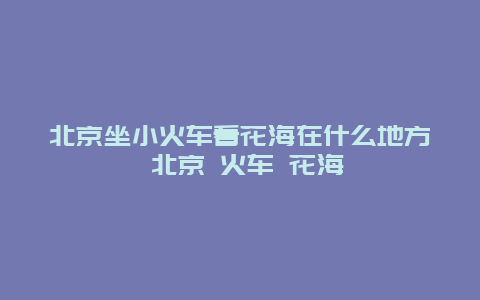 北京坐小火車看花海在什么地方 北京 火車 花海