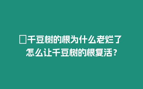 ?千豆樹的根為什么老爛了 怎么讓千豆樹的根復(fù)活？