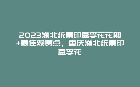 2024渝北統景印盒李花花期+最佳觀賞點，重慶渝北統景印盒李花