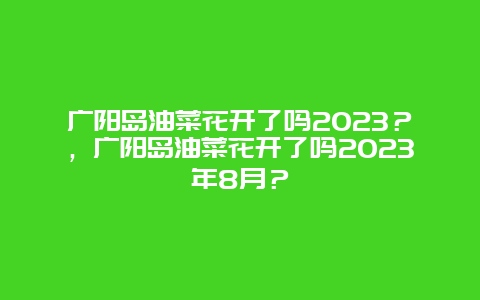 廣陽島油菜花開了嗎2024？，廣陽島油菜花開了嗎2024年8月？