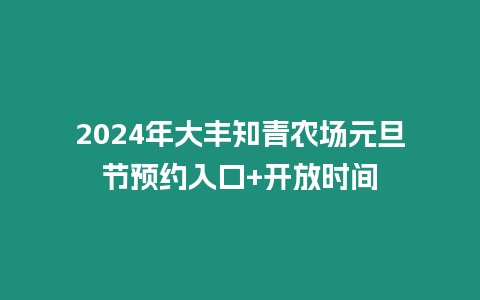 2024年大豐知青農場元旦節預約入口+開放時間